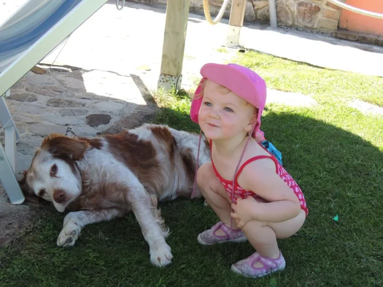 Umbrie case corboli algemeen kind met hond