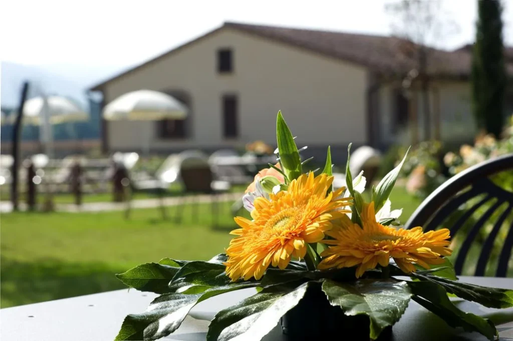 Umbrie le rondini di francesco algemeen terras bloemen