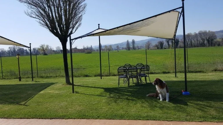 Umbrie le rondini di francesco algemeen tuin zitje