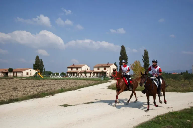 Umbrie le rondini di francesco algemeen uitzicht paarden