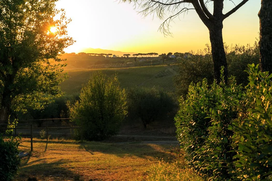noord-toscane-agriturismo-streda-tuinpad-bij-zonsondergang-c044-casamia