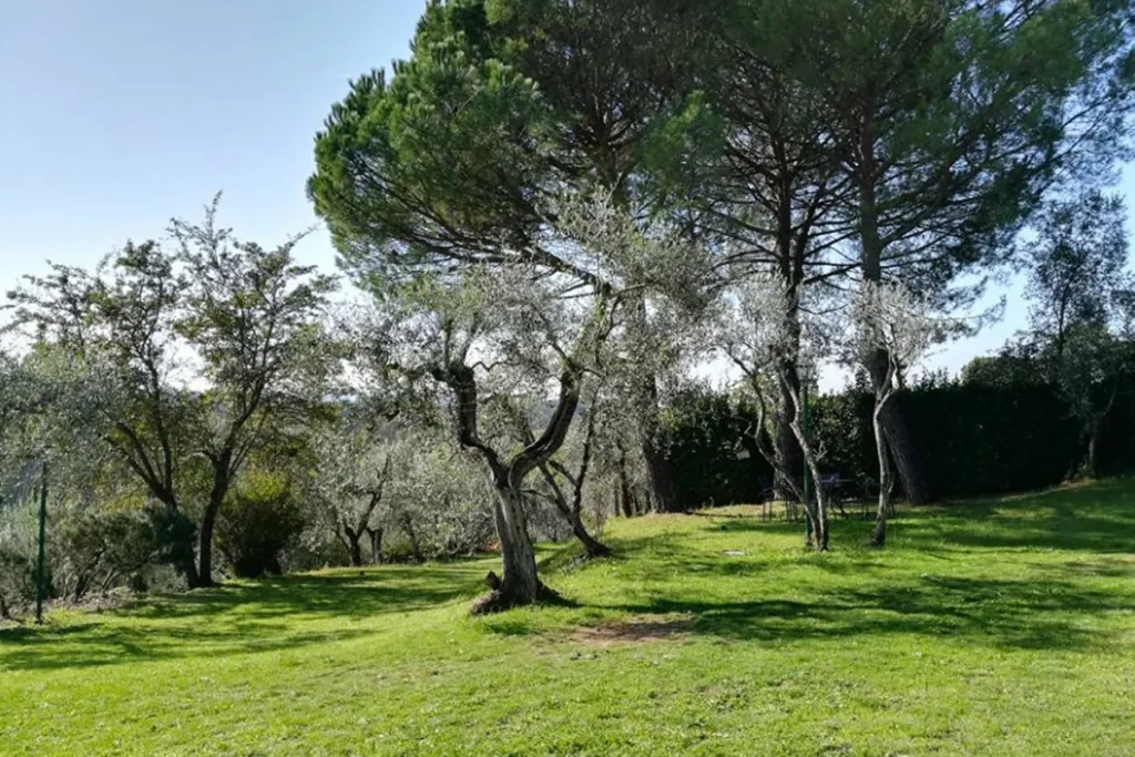 noord-toscane-tenuta-san-vito-adriana-tuin-46-casamia