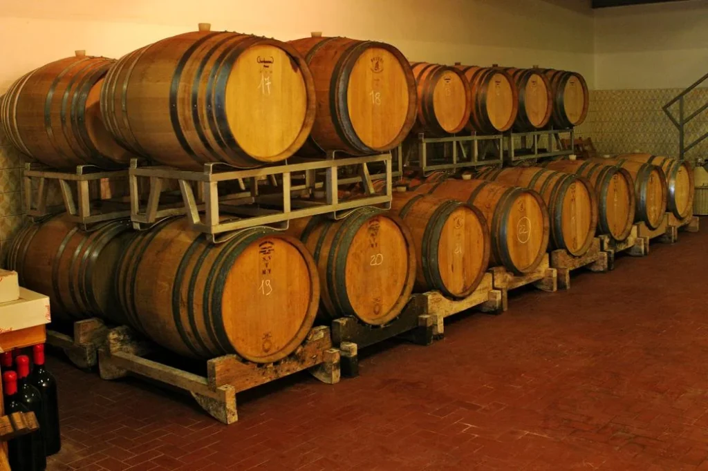 Noord toscane tenuta san vito wijnkelder vaten