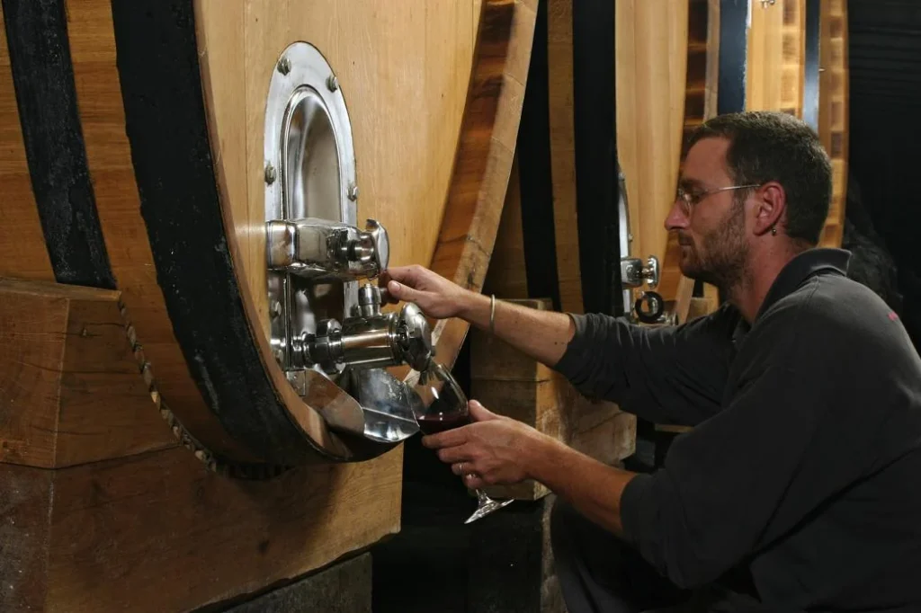 Noord toscane tenuta san vito wijnproductie