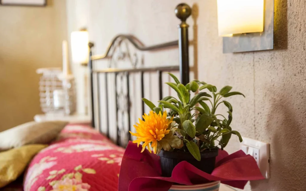 Toscaanse kust agriturismo il frutteto lampone bed detail