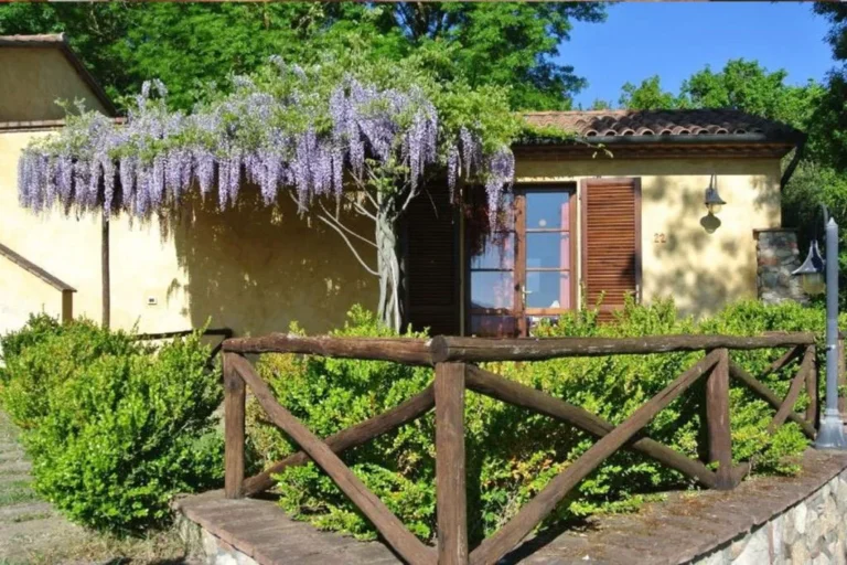 Toscaanse kust borgo di montemurlo appartement met bloeiende blauwe regen