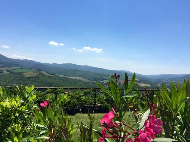 Toscaanse kust borgo di montemurlo bloemen met uitzicht over de heuvels